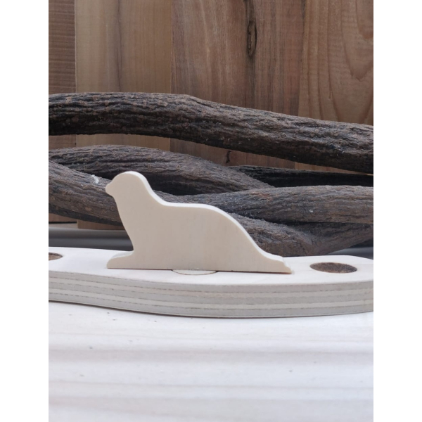 Steker zeehond